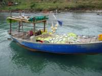 การทำปลาแดดเดียวบนเรือ